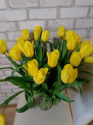 Обои на рабочий стол Сердечко с надписью 8 марта лежит у букета желтых и  белых тюльпанов, обои для рабочего стола, скачать обои, обои бесплатно