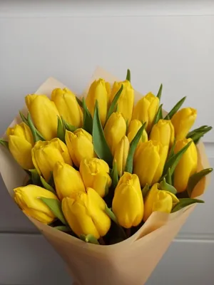 Можно ли дарить желтые тюльпаны на 8 марта. Почему желтые тюльпаны вестники  разлуки? | Блог МаX | Дзен