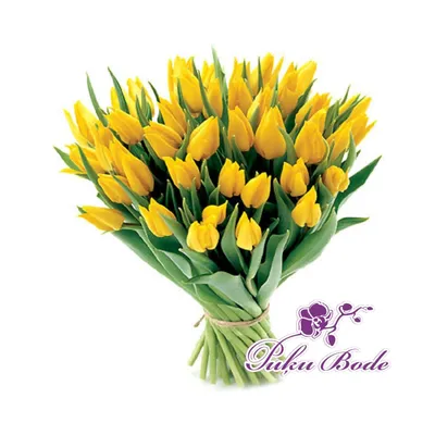 51 желтый тюльпан - купить в Москве по цене 4690 р - Magic Flower