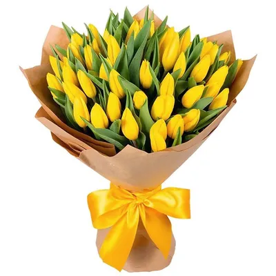 Желтые тюльпаны шт. купить в Краснодаре