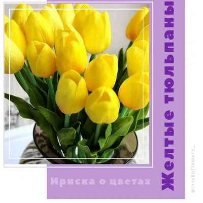 Желтые цветы на 8 марта купить в Москве ✿ Доставка: 0 ₽ при заказе от 3 000  ₽ ✿ Букеты цветов от Venus in Fleurs