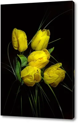 купить тюльпаны, цветы на 8 марта, букет цветов. Цена 3670 руб.