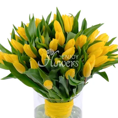 Жёлтые тюльпаны – не вестники разлуки: что на самом деле означают цветы к 8  Марта - sib.fm