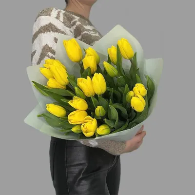 Желтые тюльпаны с мимозой - 31 шт. за 9 590 руб. | Бесплатная доставка  цветов по Москве