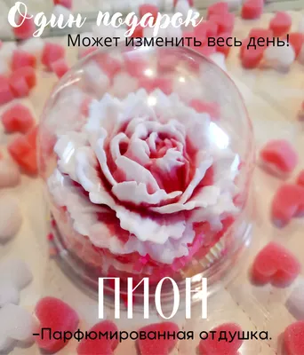 Подарок девушке на 8 марта день влюблённых святого Валентина оригинальный  Живые Фото (ID#1349866453), цена: 402.97 ₴, купить на Prom.ua