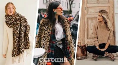 Женское серое пальто с леопардовым принтом от Glamorous, 10,362 руб. | Asos  | Лукастик