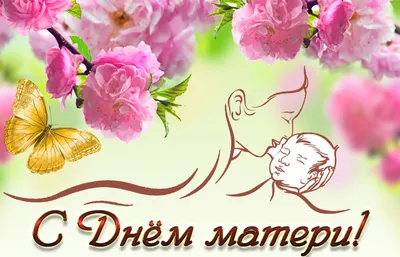 Глава администрации Центрального округа поздравляет с Днем матери! |  Официальный сайт Новосибирска