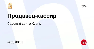 Содержание и уход за хомяком дома: как выбрать клетку, как кормить, как  приручить