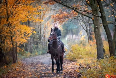 Осенняя фотосессия с лошадьми на Кумысной поляне