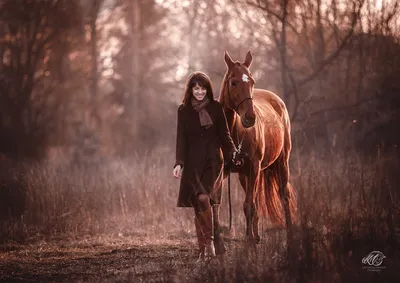 Осенняя фотосессия с лошадью | Фотограф Анатолий Лиясов | Осенние  фотосессии, Фотосессия, Фотограф