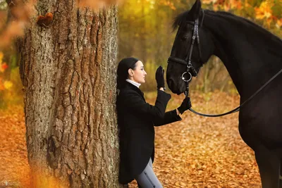 Осенняя фотосессия с лошадьми в СПб. Фотограф Оля Ветрова Санкт-Петербург