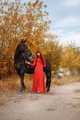 Осень, девушка и лошадь :: iriska-kuz – Социальная сеть ФотоКто