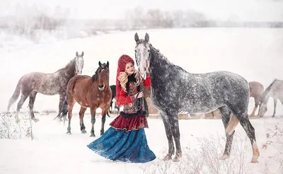 Фотосессия с лошадьми - Конный клуб «Сивка»