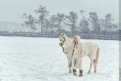 Stunning Winter Horse Photoshoot