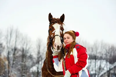 При какой температуре лошади мерзнут? - Equilogy