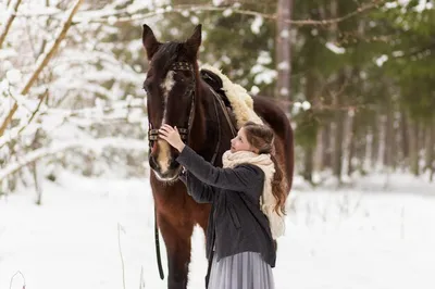 КСК ТРОЯ - Холодно ли лошадям зимой?!🤔🐎 Люди иногда склонны думать, что  если мерзнут они, то холодно и лошади, но это не всегда так. Природа  обеспечила непарнокопытных очень эффективным средством терморегулирования –