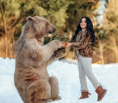 Фотосессия с медведем Степаном! | Нелли Фотограф | Дзен