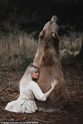 Сказочная фотосессия медведя Степана с девушками