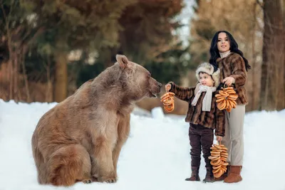 Зимняя фотосессия с медведем Степаном. Детский и семейный фотограф с  животными в Москве Гурьева Надежда