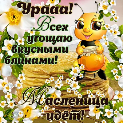 Bakinskiy Domik - Дорогие друзья! С наступающей... | Facebook