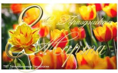 Открытки - С наступающим 8 марта⠀ 🎀🥀🎀🌷🎀🥀🎀🌷🥀🎀🌷 Восьмое марта уже  мчится: Тюльпаны, солнышко, тепло! Пусть чудо в этот день случится, Чтоб  сердце пело и цвело! Любви взаимной и красивой Желаю в этот