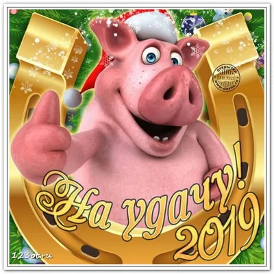 Открытки, картинки с новым годом свиньи! С новым годом 2019! Год свиньи! Год  кабана! Открытка со свиньей, свинкой, поросенком! Красивое … | Свиньи,  Открытки, Смешно