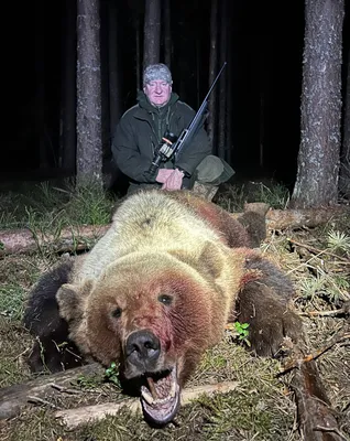 С охоты на медведя фото