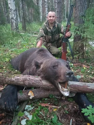 С охоты на медведя фотографии