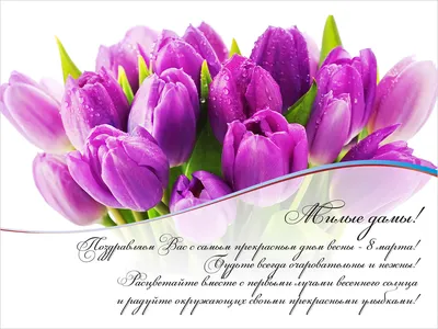 Красивые поздравления с 8 марта | podrobnosti.ua
