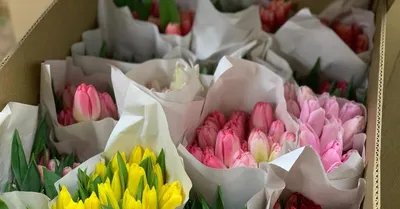 Какие цветы подарить на 8 марта