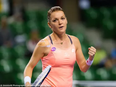 Wimbledon: Сабин Лисицки выиграла полуфинальный бой против Агнешки  Радванской - Новости спорта