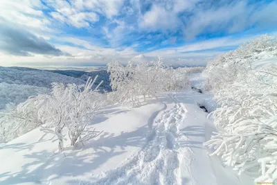 Сахалин зимой - 68 фото