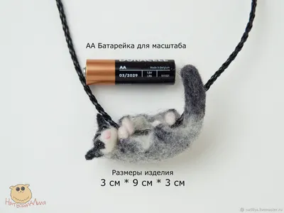 Белкалетяга Sugarglider Изолирован На Белом — стоковые фотографии и другие  картинки Сахарная сумчатая летяга - Сахарная сумчатая летяга, Белка-летяга,  2015 - iStock