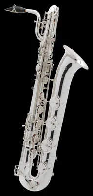Баритон-саксофон Selmer Series III AG, профессиональный, серебряное  покрытие купить в интернет магазине Музыкальное ателье Доценко и Ко.