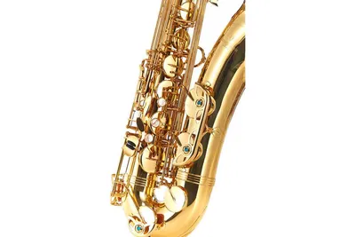 Yanagisawa Professional T-WO1 - Саксофон тенор, купить по цене Yanagisawa  Professional T-WO1 - Саксофон тенор