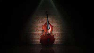 Фото Contrabass, более 70 качественных бесплатных стоковых фото