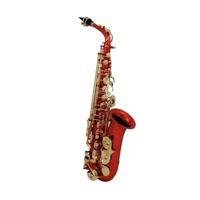 ROY BENSON AS-202R Eb альт саксофон купить в Краснодаре в магазине Music  Market