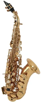 ➤ Саксофон сопрано Roy Benson SG-302 Bb отзывы покупателей — 7 честных  отзывов!