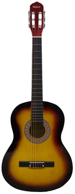 Классическая гитара 4/4 Belucci BC3905 SB - купить по выгодной цене | Muz  Sound