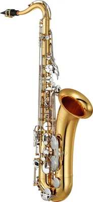 Тенор саксофон студенческий Yamaha YTS-26 ( Индонезия) купить по низкой  цене в Москве - интернет-магазин Bird