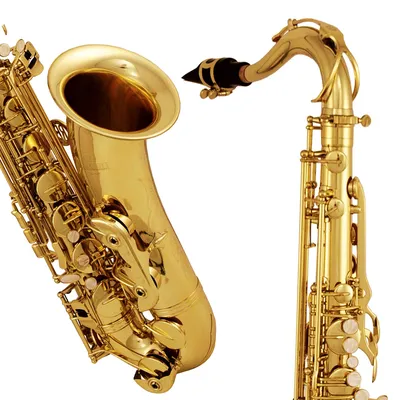 Любительский саксофон тенор, фото Roy Benson TS-202