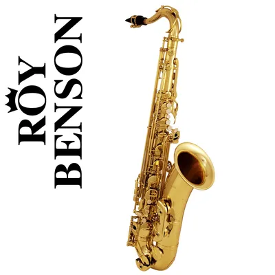 Любительский саксофон тенор, фото Roy Benson TS-202