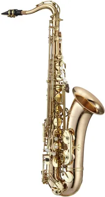 Купить тенор саксофон по низкой цене в Москве - интернет-магазин Bird