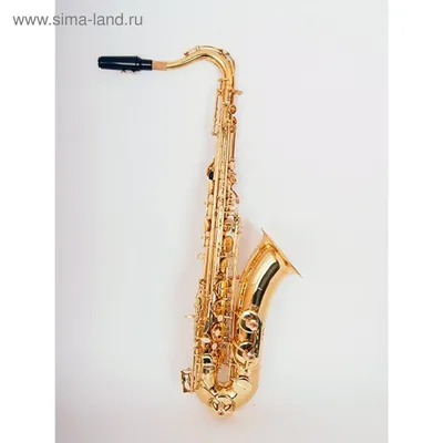 Саксофон ТЕНОР Conductor FLT-ST (1852298) - Купить по цене от 40 311.00  руб. | Интернет магазин SIMA-LAND.RU