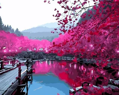 Японский сад Сакура - фото и картинки: 58 штук
