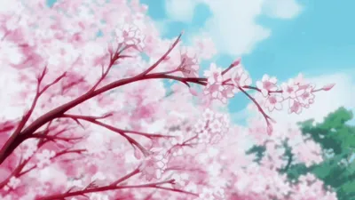 Листья Сакуры - 40 фото