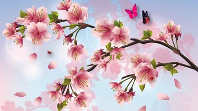 Ветка Сакуры с цветами - 58 фото