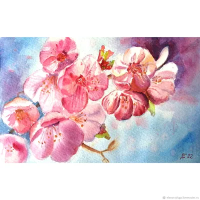 Картины акварелью ветка сакуры с цветами – купить онлайн на Ярмарке  Мастеров – QH9LQRU | Картины, Санкт-Петербург