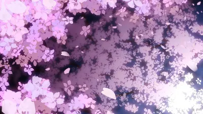 Листья Сакуры - 40 фото