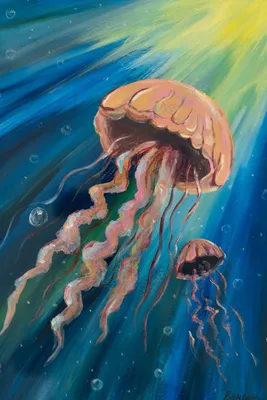 Самая большая медуза Чёрного моря | Мир в его многообразии | Дзен